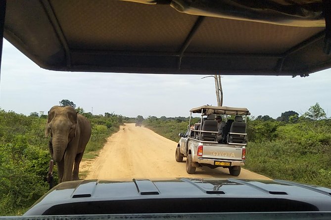 All Inclusive Udawalawe National Park Safari Day Tour from Colombo and Negombo - Comfort details that make the long ride easier