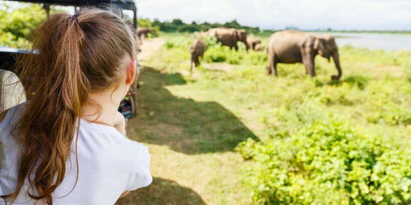 All inclussive Udawalawa National Park Safari From Colombo - Colombo-to-Udawalawa: the drive that shapes your day