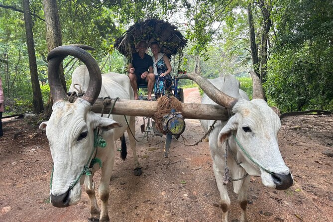 All of Sri Lanka within 10 Days - A 10-Day Sri Lanka Circuit That Actually Reduces Stress