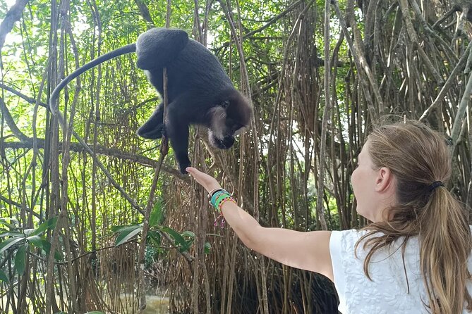 All of Sri Lanka within 10 Days - Minneriya Elephants and Hiriwadunna Village Life