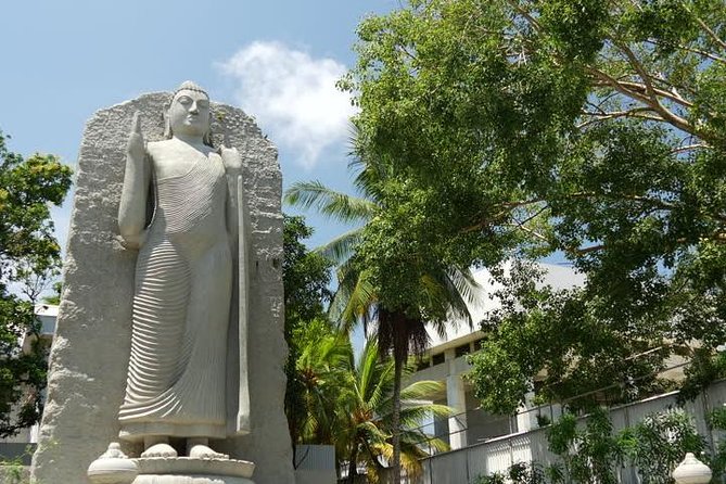 Colombo City Tour from Negombo - Religious Colombo in one route: Hindu, Buddhist, Catholic, and a historic mosque