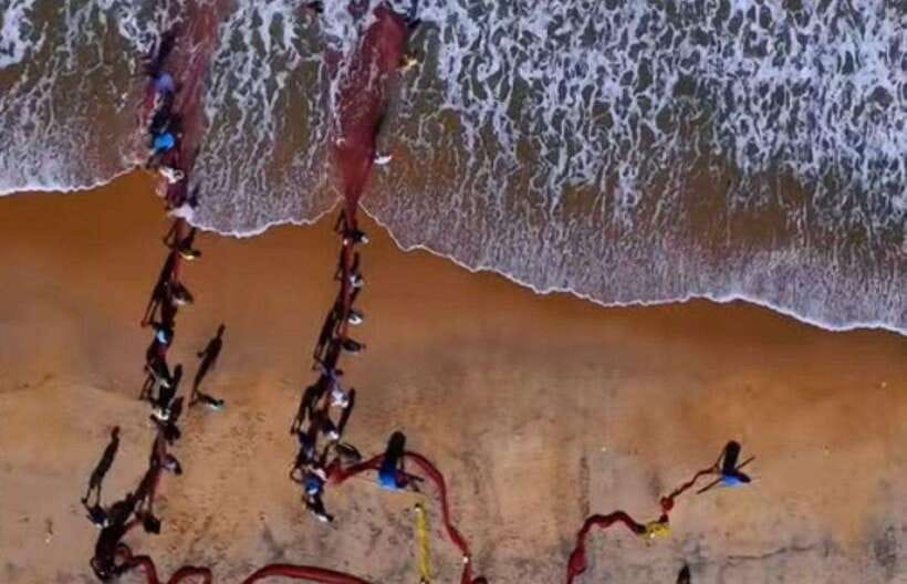 Colombo-Galle Fort, Boat Safari, Turtles, Amazing Group Tour - Bentota river break, optional water sports, and quick nature flavor
