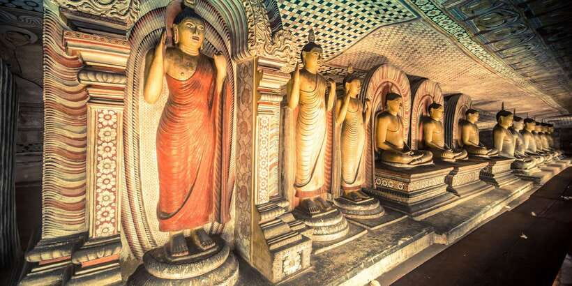 Colombo/Negombo to Sigiriya, Dambulla & Jeep Safari Day Tour - Wild jeep safari from the jungle road: Minneriya-style chances, not guarantees