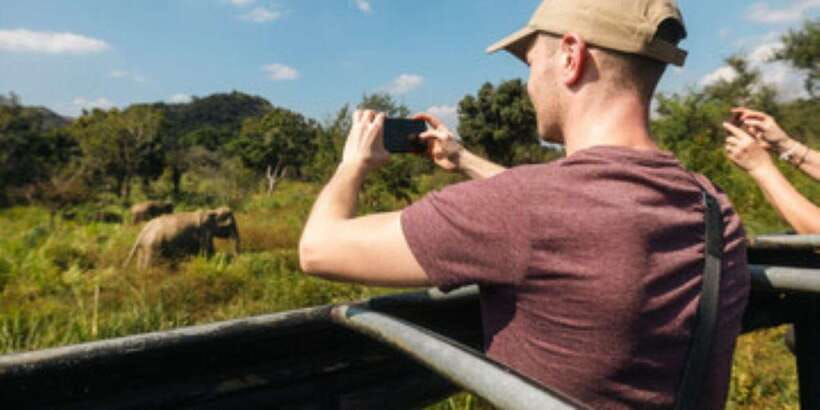 Colombo/Negombo to Sigiriya, Dambulla & Jeep Safari Day Tour - Tips to make the stairs and temples feel manageable