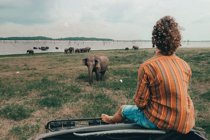 Colombo to Trincomalee Shuttle & Safari Drive - One-way Colombo to Trincomalee logistics that actually make sense