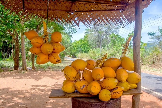 Colombo Tuk Tuk Adventure Explore Food & Culture - Galle Face Green and Colombo Lighthouse: seaside snacks near sunset