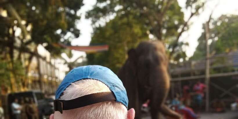 Colombo Tuk Tuk City TourSightseeing EntryFees& FoodIncluded - A 4-hour Colombo sampler you can actually manage