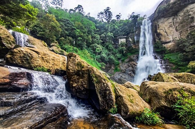 Customized Multi-Day Private Tour Packages in Sri Lanka - Day 4: Yala and Udawalawe-area wildlife time plus the Nine Arch Bridge