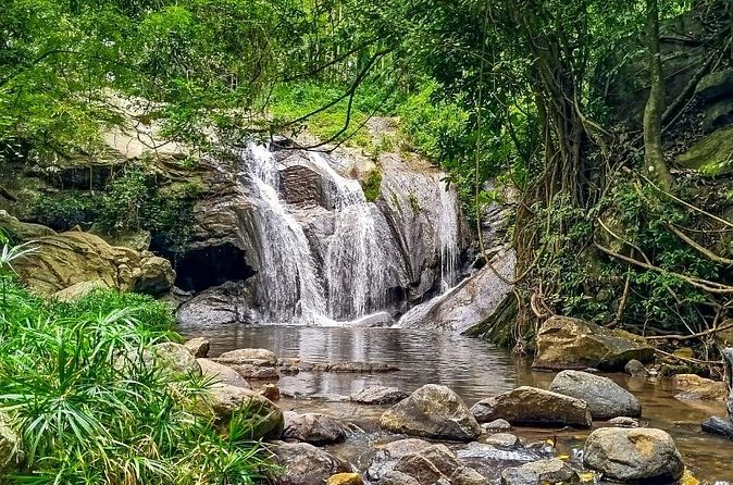 Customized Multi-Day Private Tour Packages in Sri Lanka - Day 5: Mirissa’s Coconut Tree Hill and Parrot Rock, then a colonial fort and Unawatuna