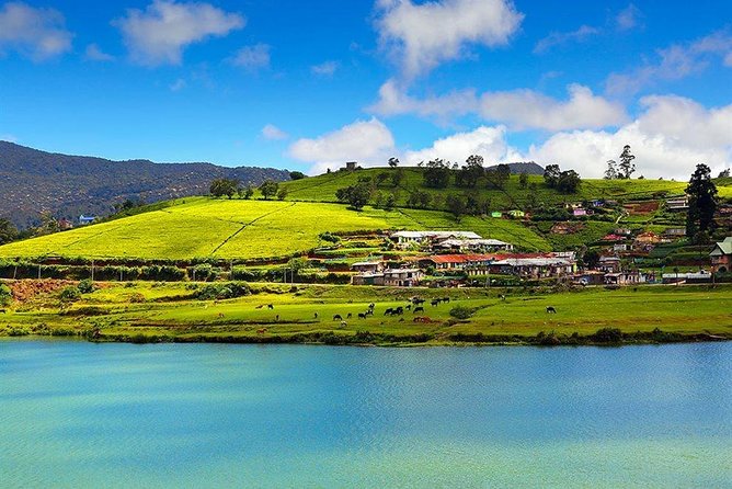 Day Tour to Nuwara Eliya from Kandy by Lux Tours Lanka - Nuwara Eliya’s Little England feel: what you’re really buying