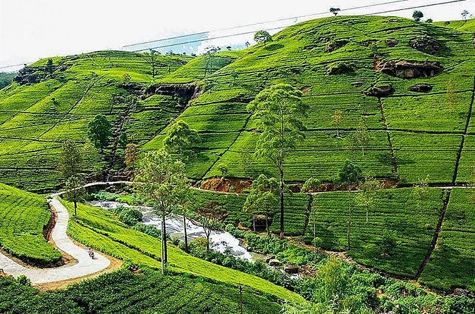 Day Tour to Nuwara Eliya from Kandy by Lux Tours Lanka - Stop 3: Victoria Park—best park time depends on the month