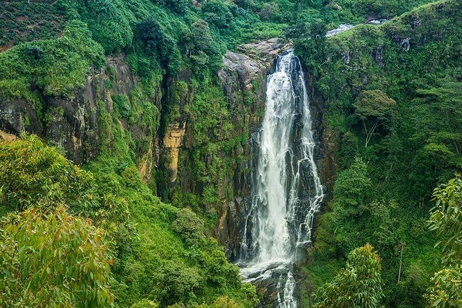 Day Tour to Nuwara Eliya from Kandy by Lux Tours Lanka - Stop 4: Hakgala Botanic Gardens—where your $160 day can really pay off
