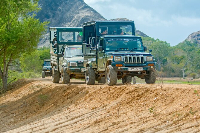 Day Tour to Wilpattu National Park from Colombo - Key highlights to know before you go