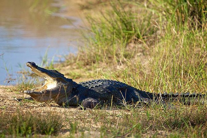 Day Tour to Wilpattu National Park from Colombo - Safari etiquette and safety rules that keep the day smooth