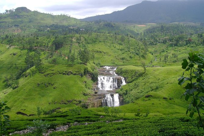 Day Trip to Nuwara Eliya with Kingfisher Tours - Pedro Tea Factory tasting: chocolate, vanilla, strawberry, and how tea works