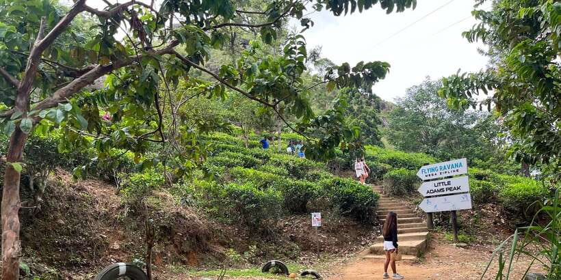Discover the Best of Sri Lanka in 2 Days - The Ramboda/Nuwara Eliya evening: Old Post Office and hill-country atmosphere