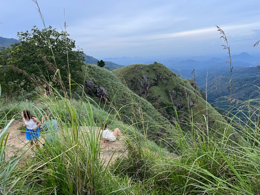 Discover the Best of Sri Lanka in 2 Days - Tea plantation and factory tour: what you’re really getting