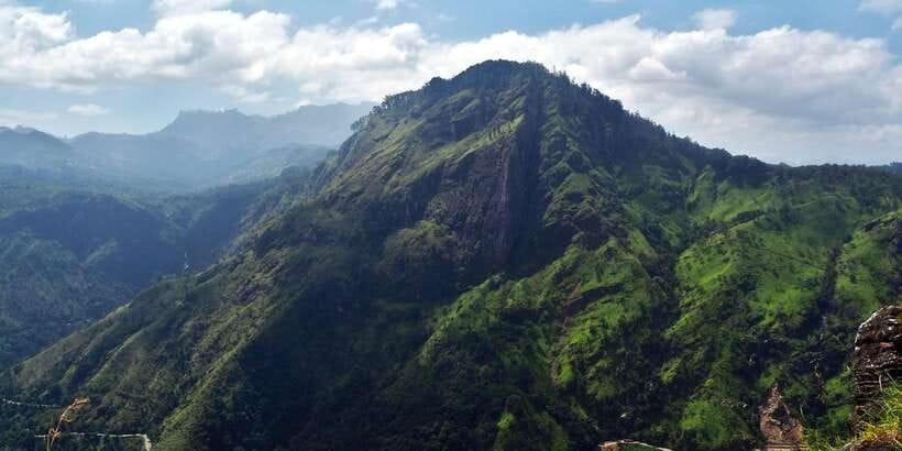Ella: Tea Factory, Train, and Nine Arch Day Tour with Pickup - Key highlights you’ll feel right away