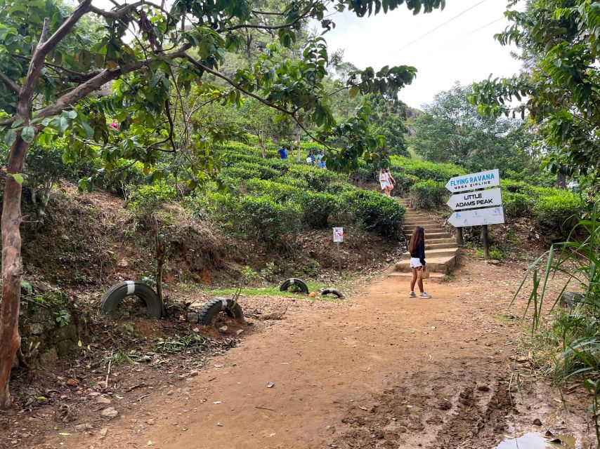 Ella: Tea Factory, Train, and Nine Arch Day Tour with Pickup - Ravana Waterfall and Ravana Pool Club: nature, then downtime