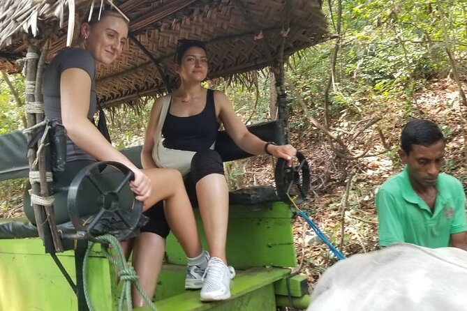 Explore Wonders of Sri Lanka 7 Days Private Tour - Why this Colombo-based 7-day route makes sense
