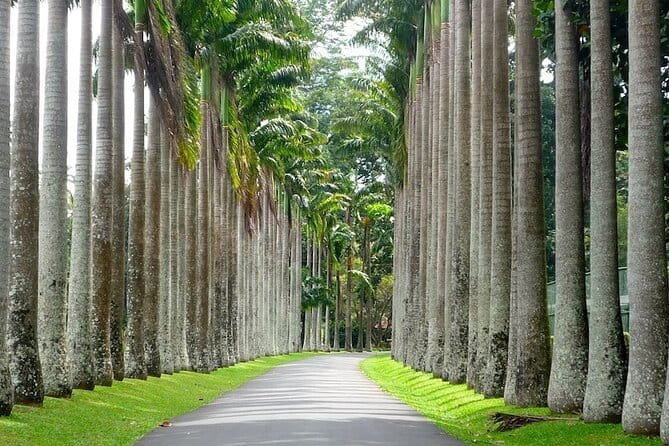 From Colombo Airport to Sigiriya or Kandy Private Transfer - Communication and On-Time Style That Sets the Tone