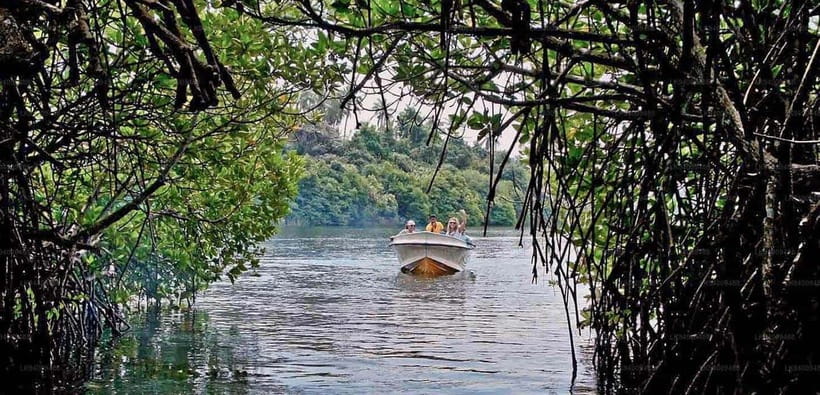 From Colombo: Galle Fort and Hikkaduwa Beach Day Tours - Hikkaduwa Beach Walking and the Jungle Beach Option: Sea Breeze Time
