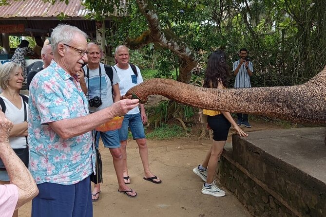 From Colombo: Kandy and Pinnawala Full-Day Trip - Stop One: Pinnawala Elephant Orphanage (Why It Starts Early)