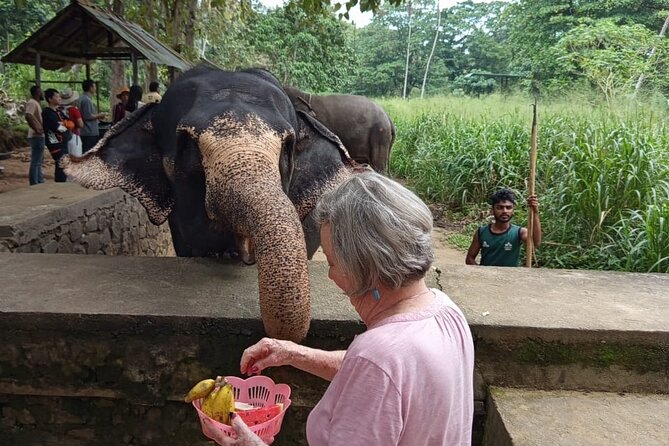 From Colombo: Kandy and Pinnawala Full-Day Trip - Temple of the Sacred Tooth Relic: UNESCO Kandy Highlight