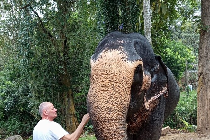 From Colombo: Kandy and Pinnawala Full-Day Trip - Price and What You Really Get for $70