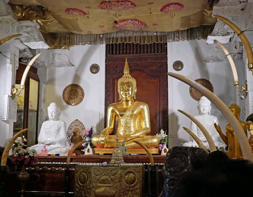 From Colombo: Kandy Temple of Tooth & Elephant Orphanage - Kandy Market and Traditional Dance Show: Where the Day Feels Like Sri Lanka