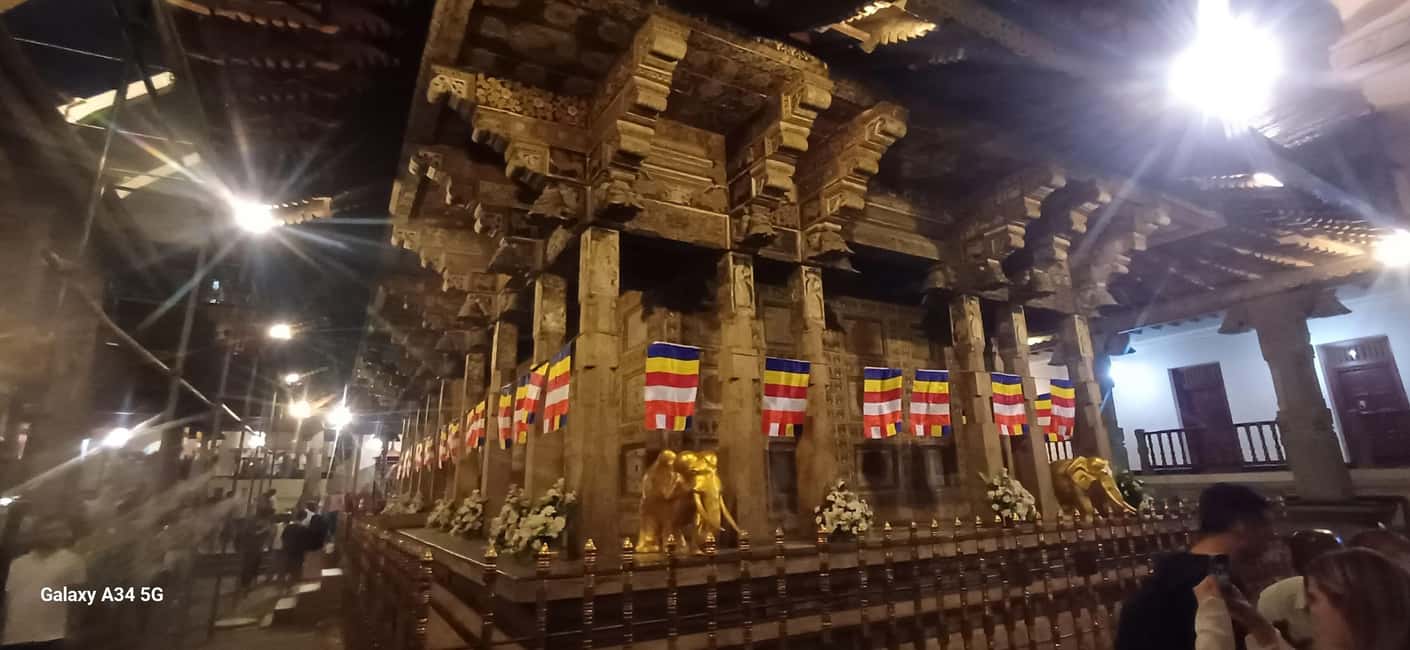 From Colombo: Kandy Temple of Tooth & Elephant Orphanage - Price and Logistics: Is $62 Good Value?