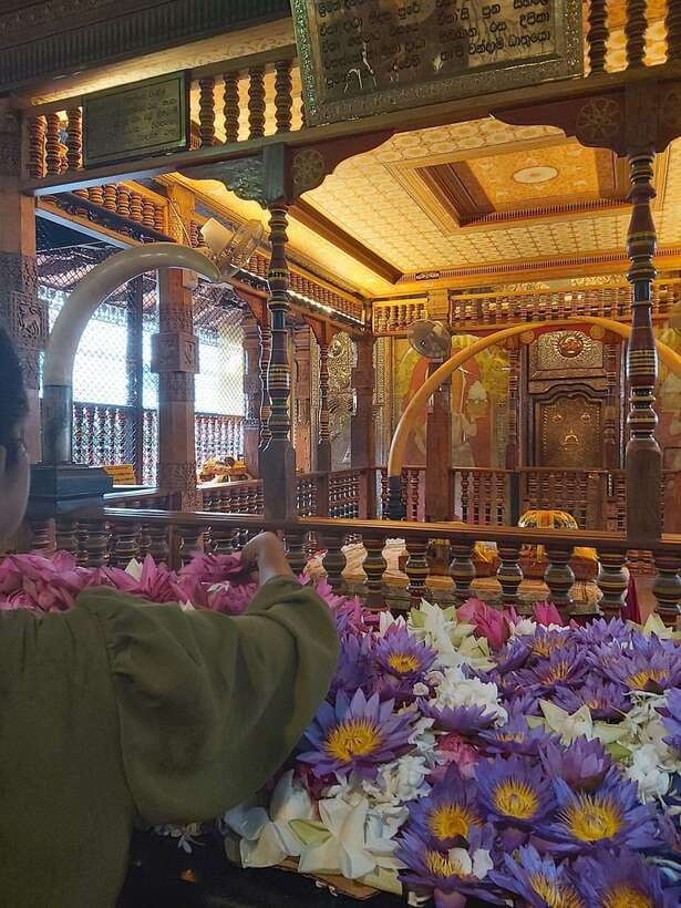 From Colombo: Kandy Temples and Pinnawala Full-Day Tour - Key things that make this tour worth your time