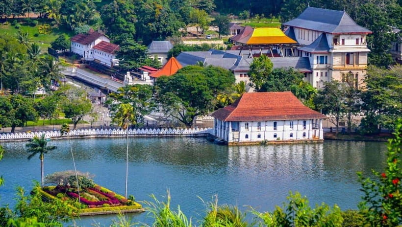 From Colombo: Kandy Temples and Pinnawala Full-Day Tour - Pinnawala Maha Oya river elephants: the morning highlight