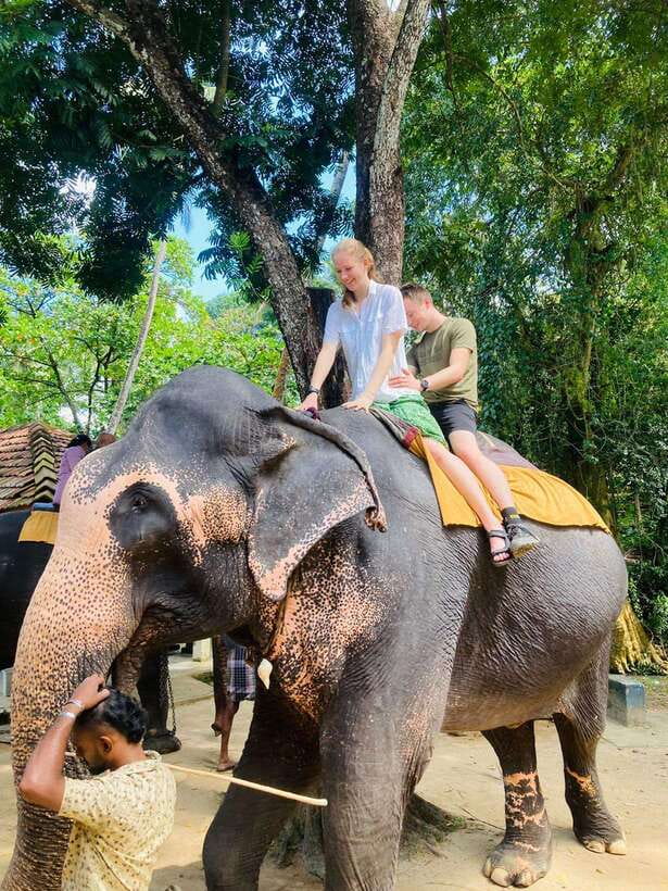 From Kandy : Pinnawala Elephant Orphanage & Ambuluwawa Tower - Key things I’d circle on your plan