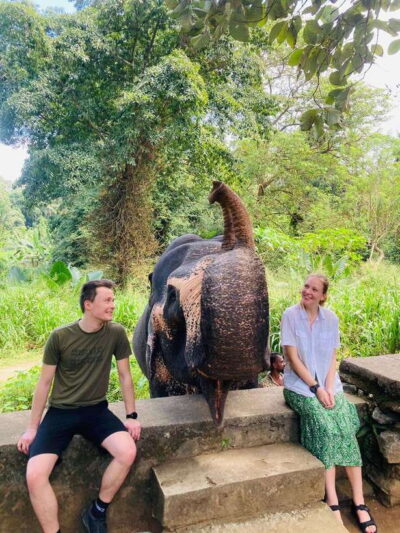 From Kandy : Pinnawala Elephant Orphanage & Ambuluwawa Tower - Bahirawakanda Temple and the Temple of the Sacred Tooth Relic