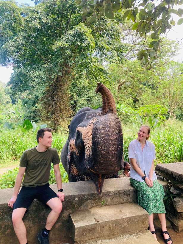 From Kandy : Pinnawala Elephant Orphanage & Ambuluwawa Tower - Bahirawakanda Temple and the Temple of the Sacred Tooth Relic