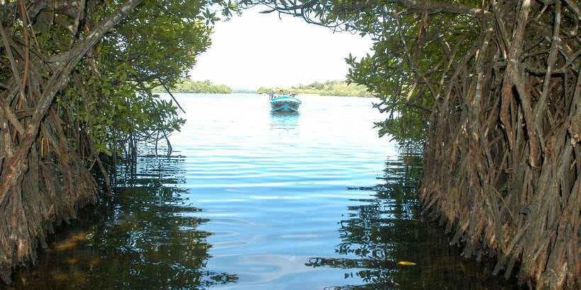 From Negombo: Bentota Full-Day Tour - Who this trip suits best (and who should skip it)