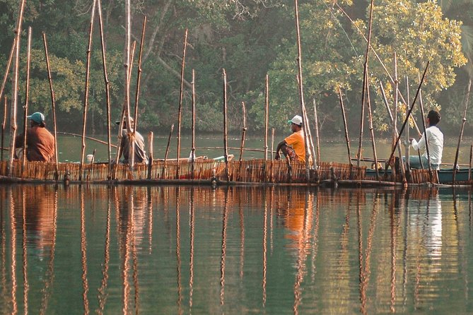Galle, Bentota, Maadu River Curd at Sunset Day Trip from Colombo - Timing, weather, and how to make a long day easier