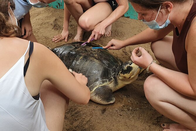 Galle day tour - Colombo to Galle trip - All Included - Lunch at Hikkaduwa Beach: what’s included and how to plan around it