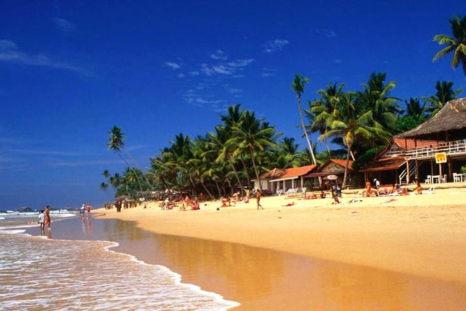 Galle Day Tour from Colombo or Negombo by Private Car , Van with Driver - Kosgoda Sea Turtle Conservation Project: A Short Visit With Real Meaning