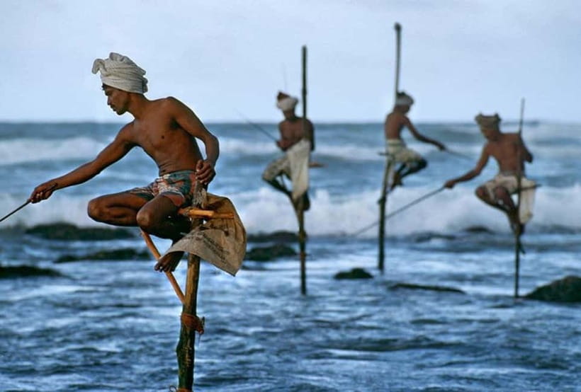 Galle Day Trip - River Safari, Sea Turtle & Stilt Fishermen - Key highlights to know