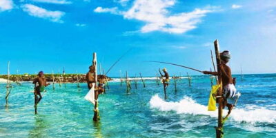 Galle Day Trip - River Safari, Sea Turtle & Stilt Fishermen - Price and what you’re really paying for ( $80 per person )