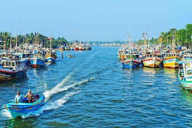 Half Day Tour to Muthurajawela, Lagoon, Dutch Canal and Mangroves - Your Guide Matters More Than You Think