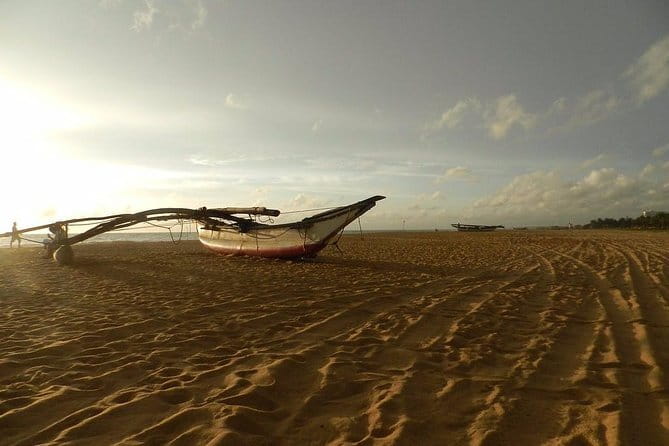 Half Day Tour to Muthurajawela, Lagoon, Dutch Canal and Mangroves - Timing, Duration, and How to Fit It Into Your Day