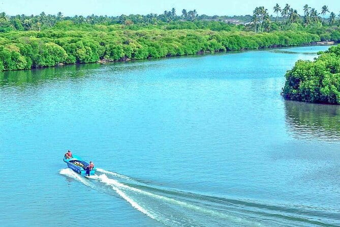 Half Day Tour to Muthurajawela, Lagoon, Dutch Canal and Mangroves - Stop 1: Muthurajawela Marsh and the Dutch Canal Boat Ride