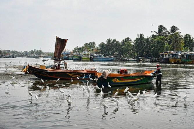 Heritage & Cultural Walk in Negombo - Price and Timing: Is This Good Value for $10?