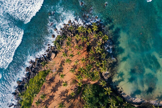 Highlights of Sri Lanka 8 Days Private Tour - What this 8-day Sri Lanka route gets right (and what it costs you)