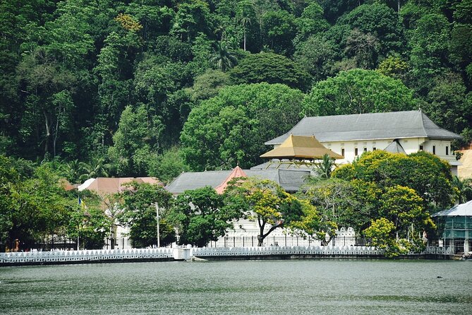 Highlights of Sri Lanka 8 Days Private Tour - Temple of the Tooth Relic and Peradeniya Gardens: faith and botany in the same day