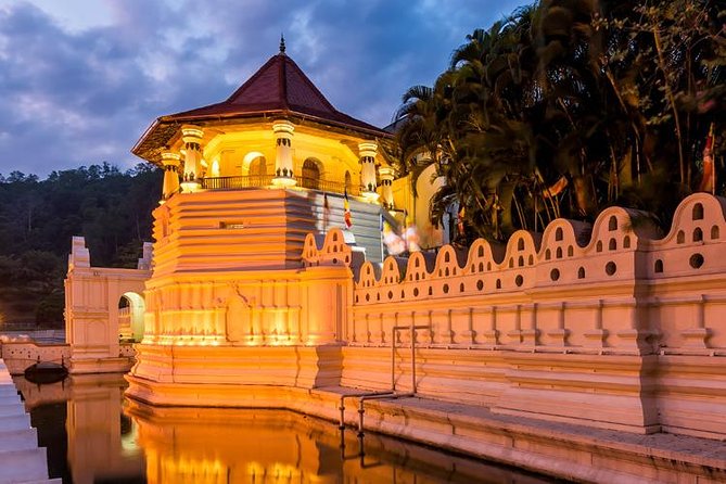 Kandy and Pinnawala Private Day Tour from Colombo/Negombo - Kandy Viewpoint and Peradeniya Gardens: Short Stops That Reset Your Brain