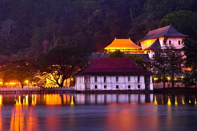 Kandy and Pinnawala Private Day Tour from Colombo/Negombo - Who This Tour Fits Best (and Who Might Feel the Strain)